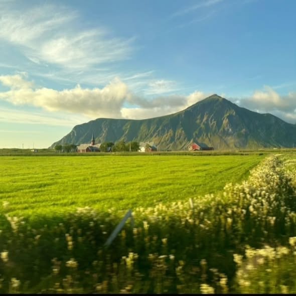 foto lofoten prato